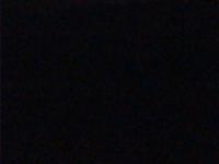 2025-09-17 01:53