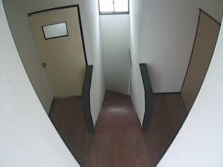 Actual image