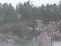 2025-04-28 07:21