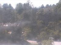 2025-07-11 13:42