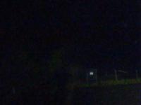 2025-04-28 20:25