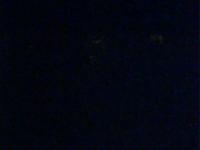 2025-06-15 21:29