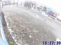 2025-04-29 07:29