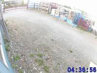 2025-06-30 04:36