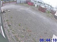 2026-05-08 06:41