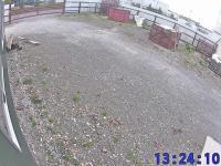 2026-05-08 13:21