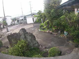 Actual image