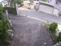 2025-04-28 05:20