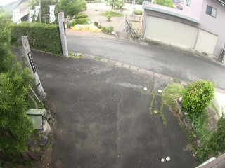 Actual image