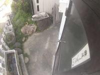 2025-05-01 08:26
