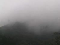 2025-08-17 08:37