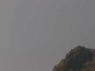 Actual image