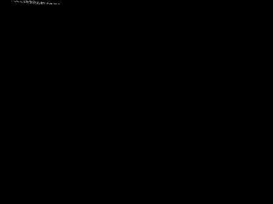 Actual image