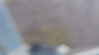 2025-04-30 05:07