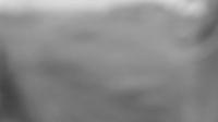 2025-08-25 04:59