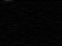 2025-06-12 05:21