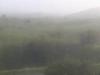 2025-08-30 07:03