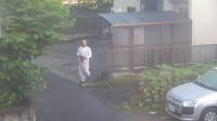 2025-06-12 05:29