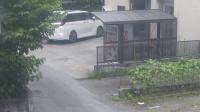 2025-06-12 11:45