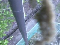 2026-05-09 15:47