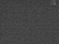 2025-04-02 03:23