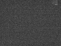 2025-04-04 01:14