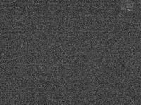 2025-04-04 20:53