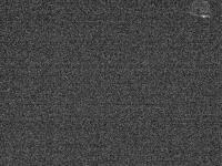 2025-04-05 03:26