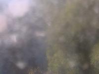 2025-06-11 17:59