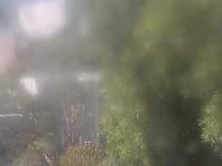 2025-06-13 13:51