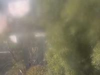 2025-06-14 14:55