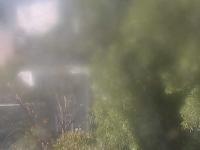 2025-07-01 14:12