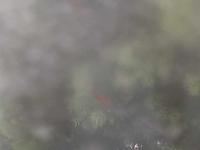 2026-04-26 08:36
