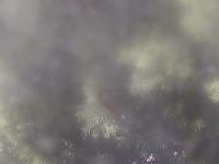 2026-04-26 15:16