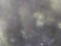 2026-04-28 13:58