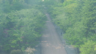 Actual image