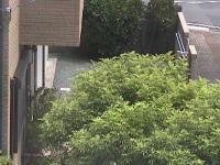 2025-07-07 11:26