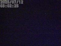 2025-07-12 02:55