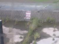 2025-06-04 09:19