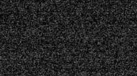 2025-06-11 03:28
