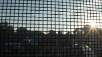 2025-07-06 04:37