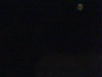 2026-04-03 20:18