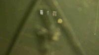 2025-08-31 23:25