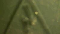 2025-09-16 04:42