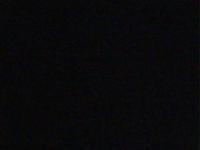 2025-07-02 04:55