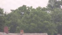 2025-07-01 11:17