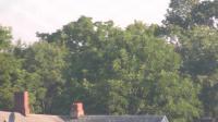 2025-07-07 05:49