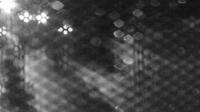 2025-05-05 19:22