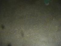 2025-09-01 20:46