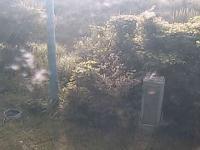 2025-08-25 07:25